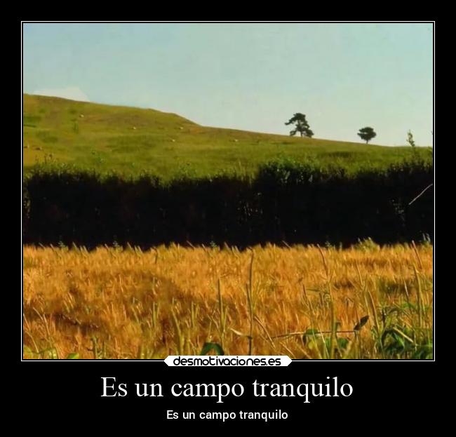 Es un campo tranquilo - Es un campo tranquilo