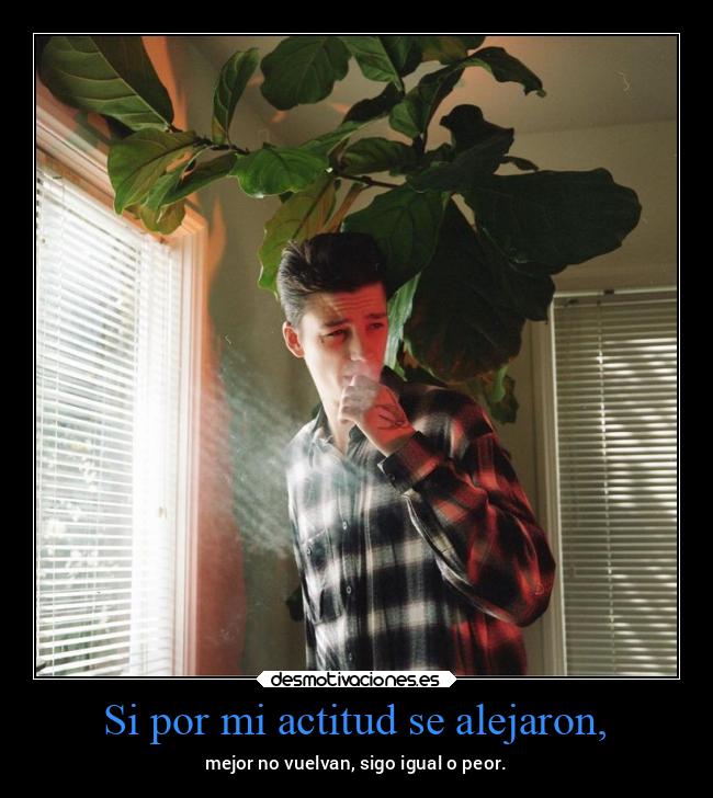 Si por mi actitud se alejaron, - 