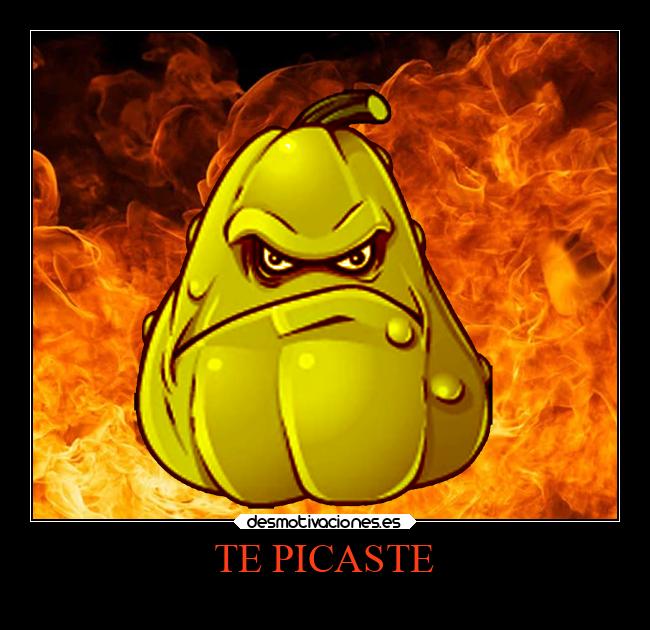 TE PICASTE -