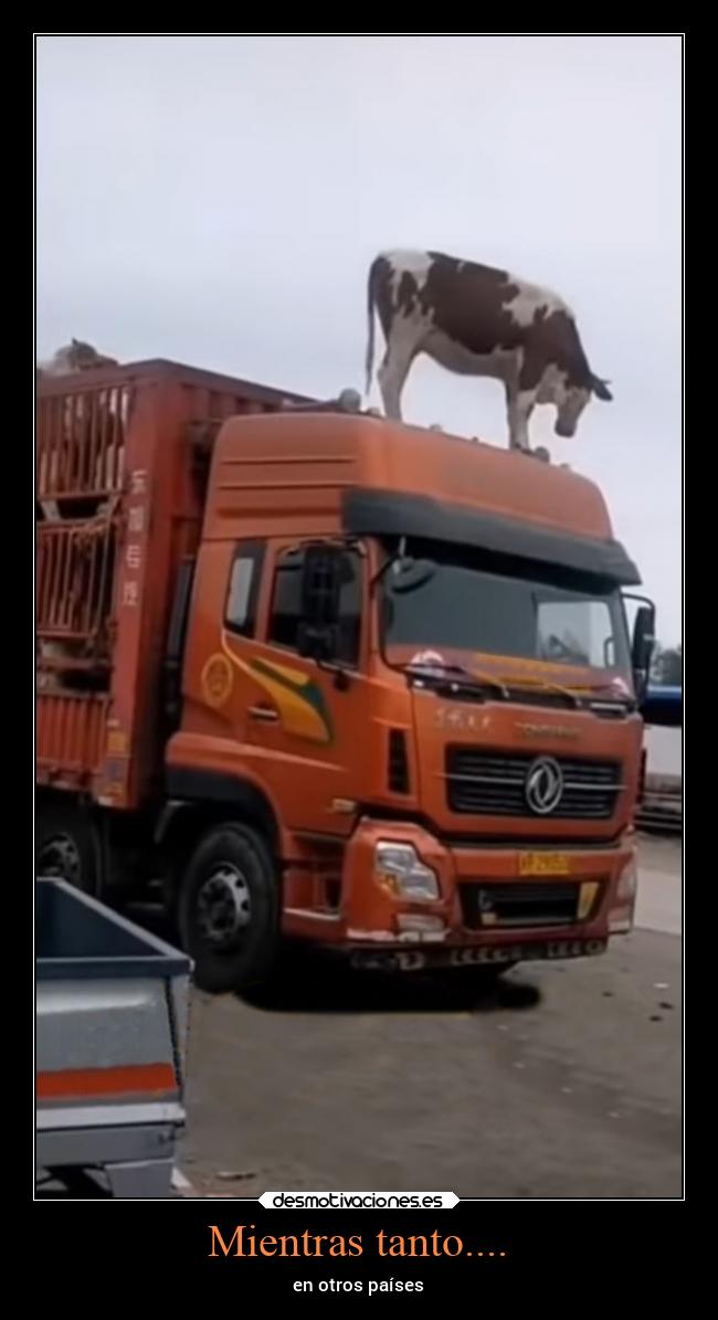 carteles humor imaginacion desmotivaciones