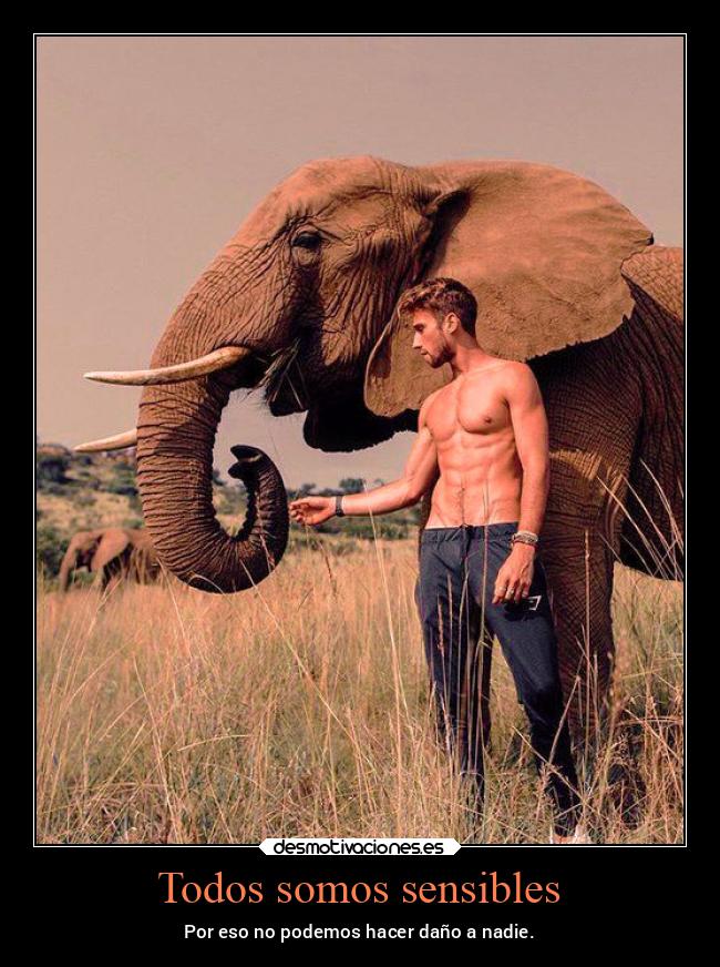 Todos somos sensibles - Por eso no podemos hacer daño a nadie.