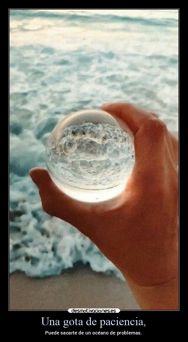 carteles pensamientos olvidar desmotivaciones alma pacienciaesperar desmoverano2022 miguelflippy2021 desmotivaciones