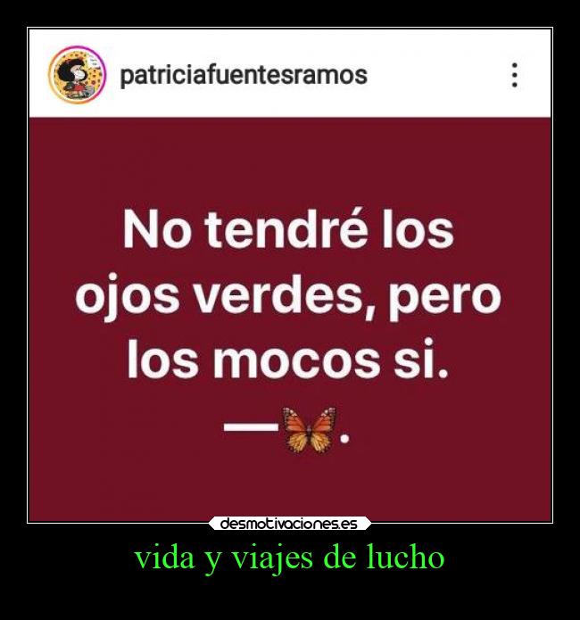 vida y viajes de lucho -