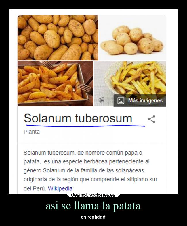 asi se llama la patata - 