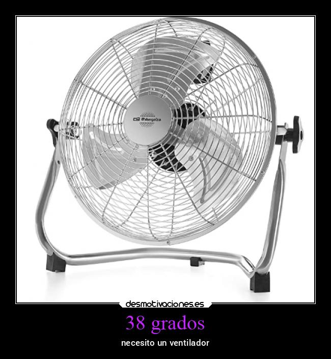 38 grados - 