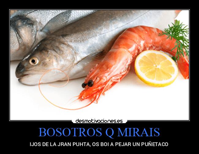 BOSOTROS Q MIRAIS -