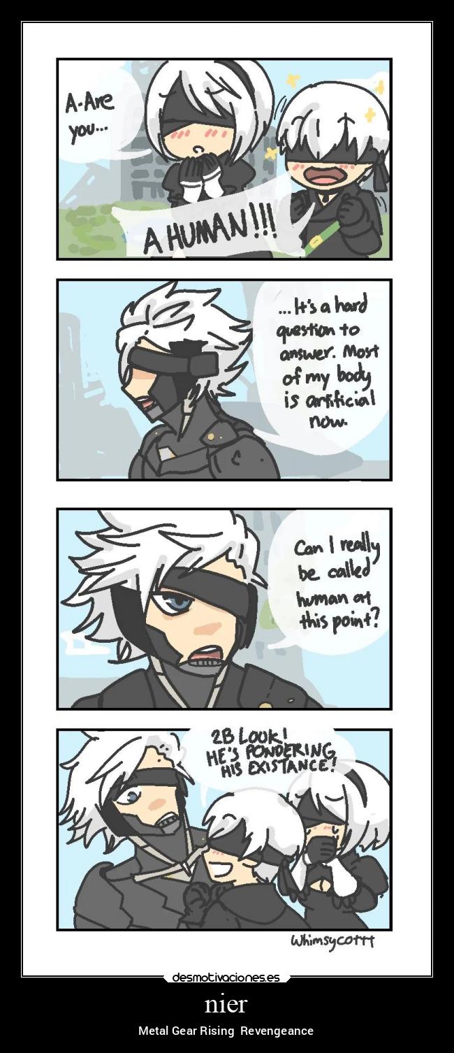 nier - Metal Gear Rising Revengeance