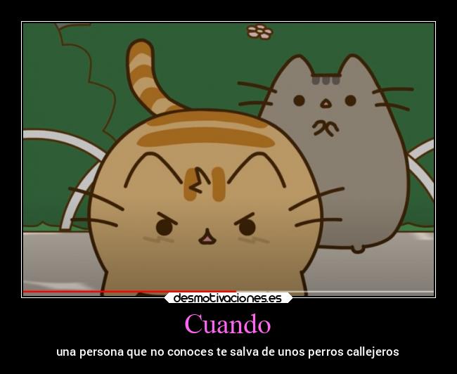 Cuando - una persona que no conoces te salva de unos perros callejeros