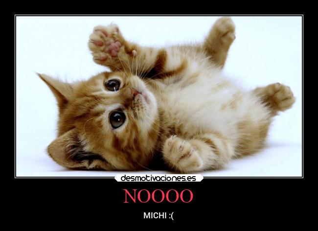 NOOOO - MICHI :(