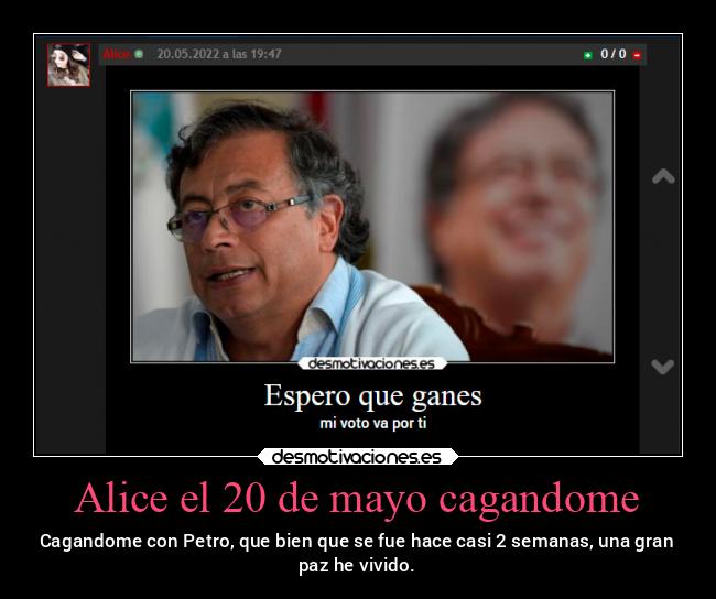 carteles bogota politica socialismoalavenezolana nosvamosavolvervenezuelaportantomogolico aliceesunbot desmotivaciones