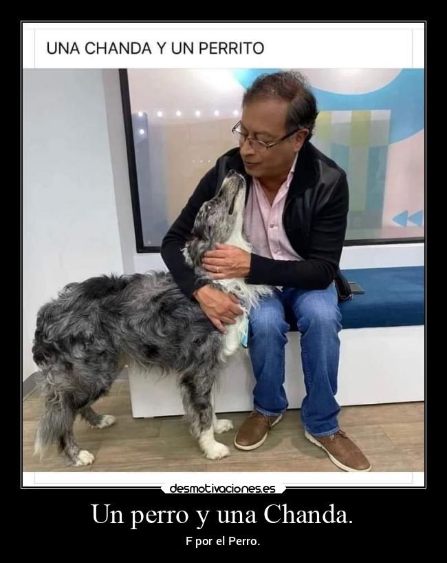 Un perro y una Chanda. - F por el Perro.