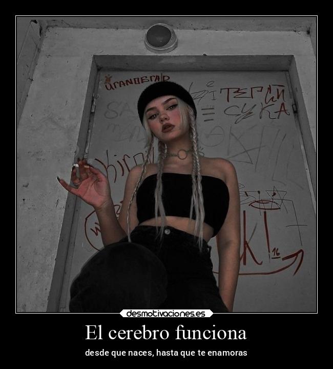 El cerebro funciona -