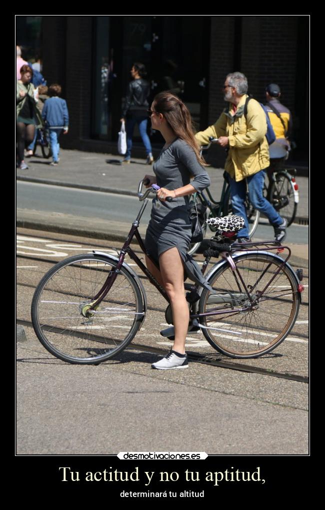 Tu actitud y no tu aptitud, - determinará tu altitud