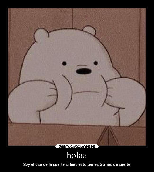 holaa - Soy el oso de la suerte si lees esto tienes 5 años de suerte