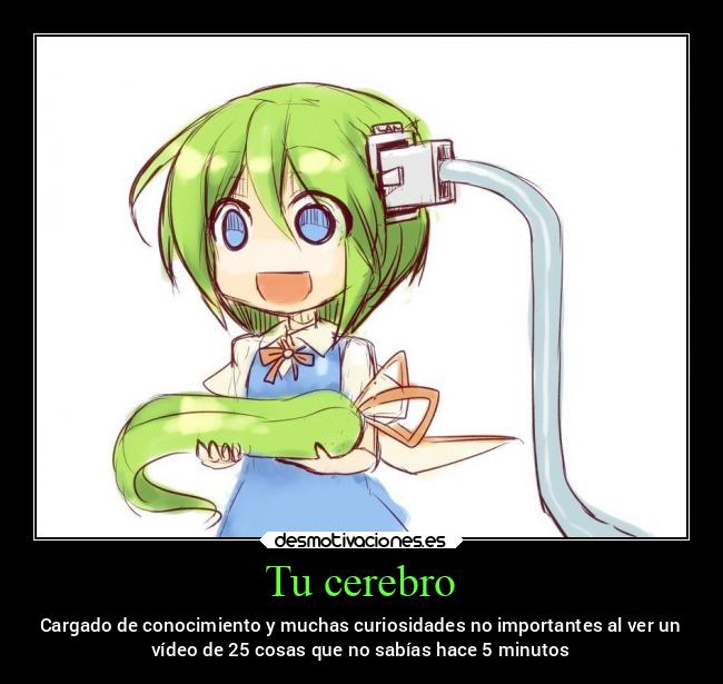 Tu cerebro - Cargado de conocimiento y muchas curiosidades no importantes al ver un
vídeo de 25 cosas que no sabías hace 5 minutos