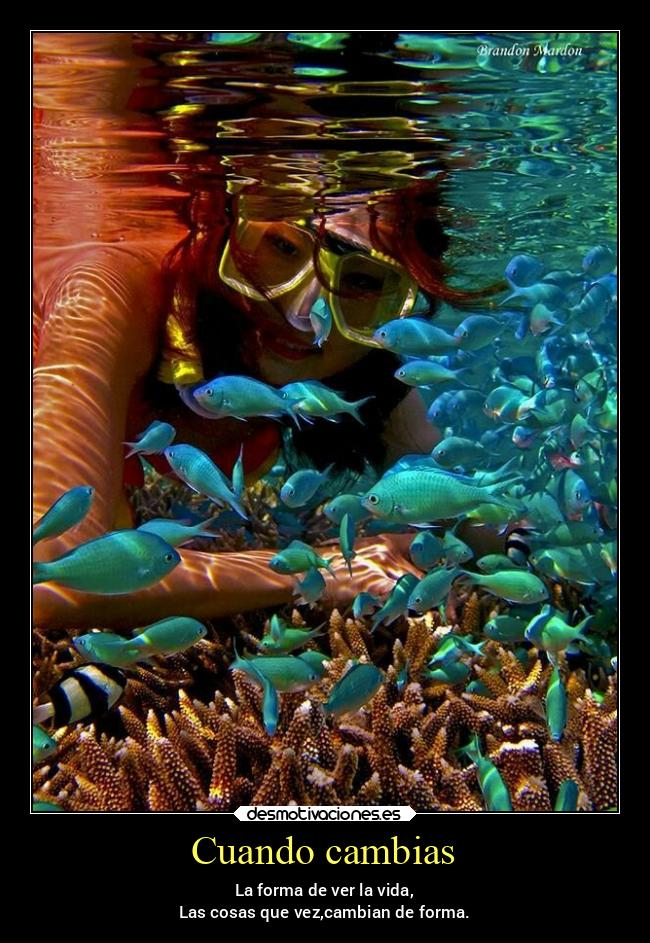 Cuando cambias - La forma de ver la vida,
Las cosas que vez,cambian de forma.