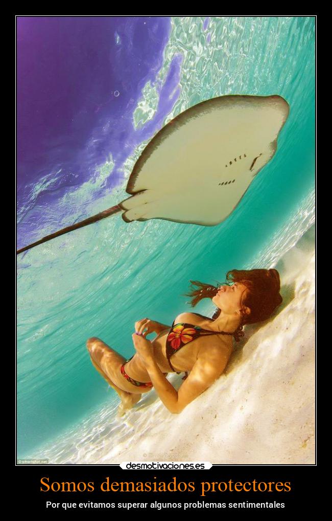 carteles problemas animales verano sentimentales mantarraya oceano arena desmoverano2022 desmotivaciones