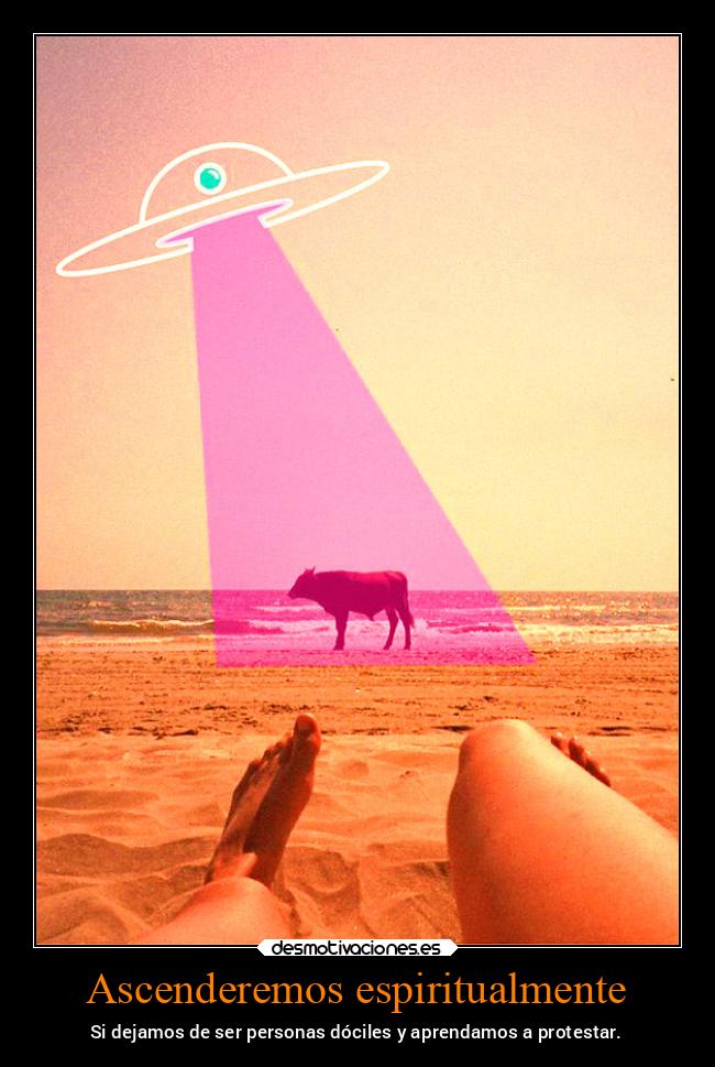 carteles verano espiritu docil aprender protestas vaca ovni playa arena oceano desmoverano2022 desmotivaciones