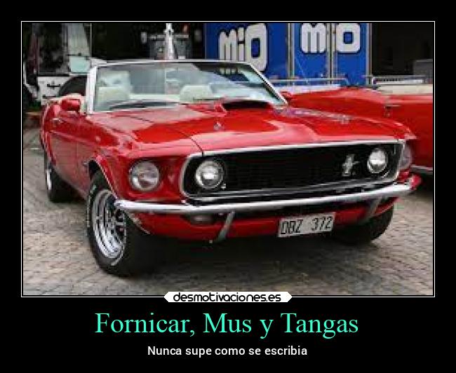 Fornicar, Mus y Tangas -
