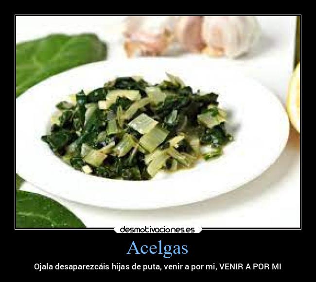 Acelgas - 