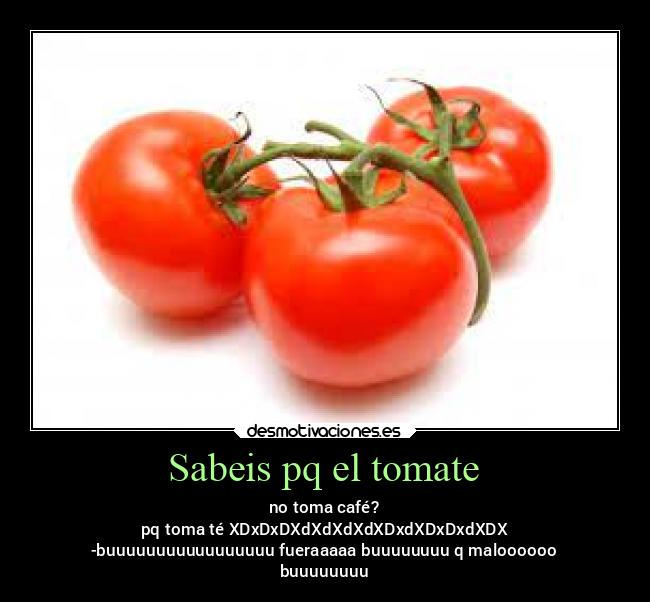Sabeis pq el tomate - 