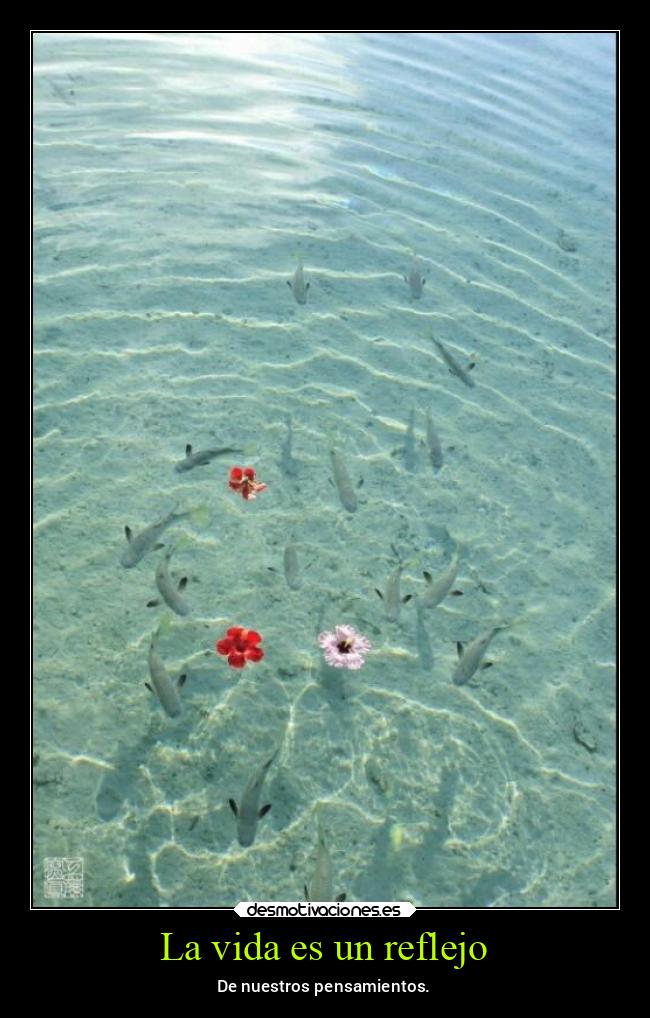 La vida es un reflejo - De nuestros pensamientos.