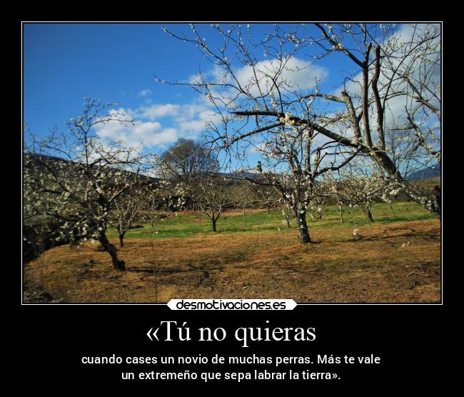 «Tú no quieras - cuando cases un novio de muchas perras. Más te vale
un extremeño que sepa labrar la tierra».