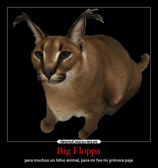 Big Floppa - 