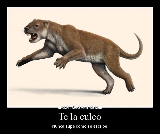 Te la culeo - Nunca supe cómo se escribe