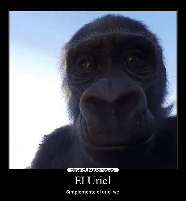 El Uriel - Simplemente el uriel we