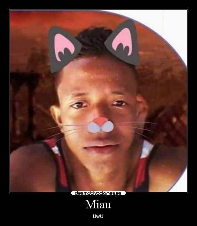 Miau - UwU