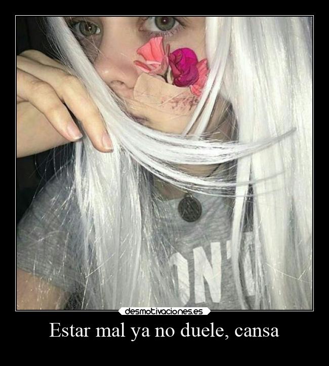 carteles arte corazon frases angelphantomhive dulcesitophantomhive tumblr desmotivaciones