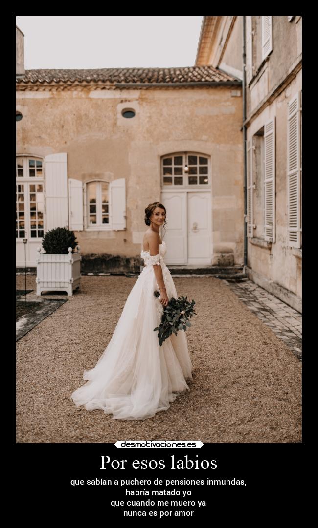 Por esos labios - que sabían a puchero de pensiones inmundas,
habría matado yo
que cuando me muero ya
nunca es por amor