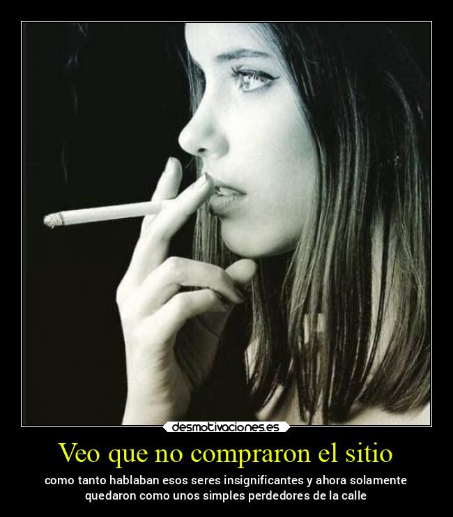 Veo que no compraron el sitio - 