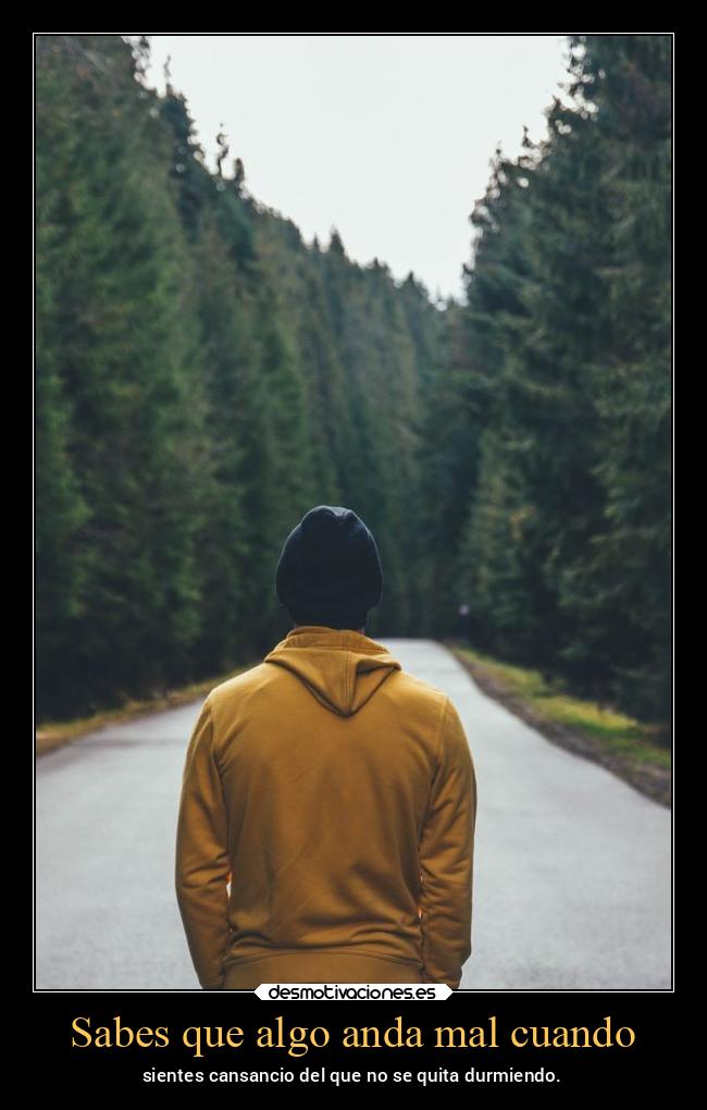 Sabes que algo anda mal cuando - 