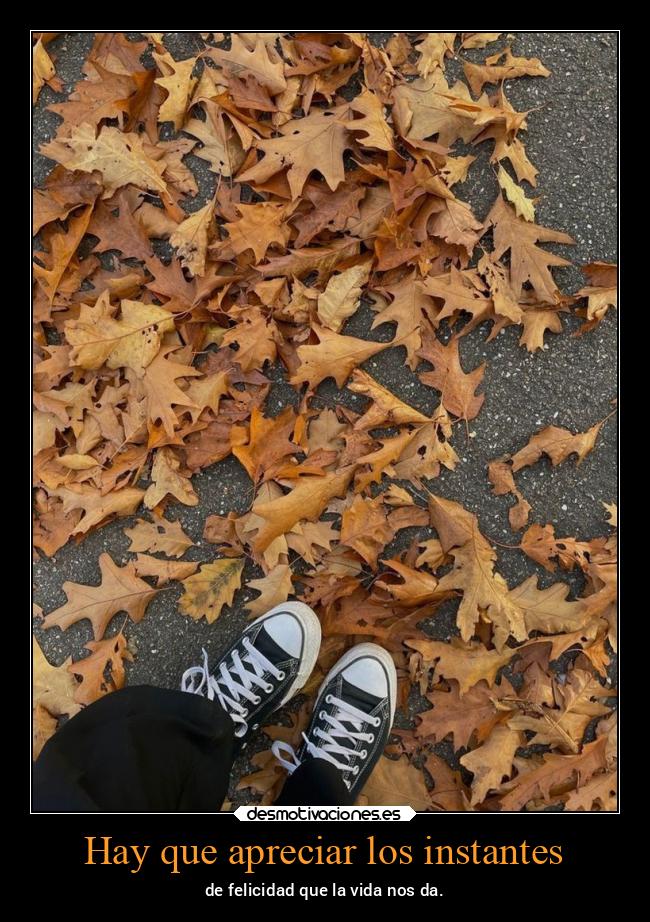 Hay que apreciar los instantes - de felicidad que la vida nos da.
