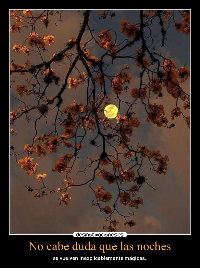No cabe duda que las noches - se vuelven inexplicablemente mágicas.