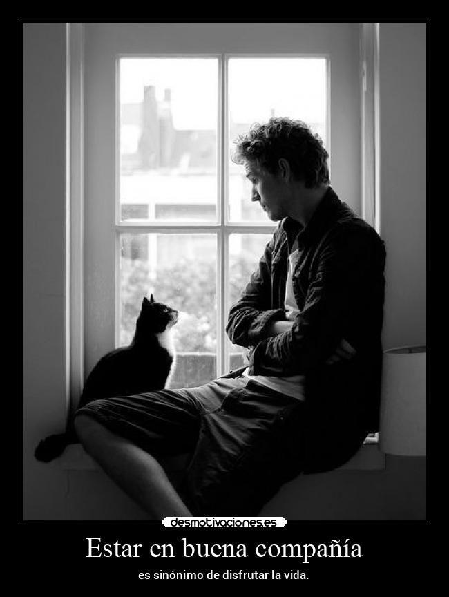 carteles desmotivaciones vida iamtxt teamdelasesino desmotivaciones