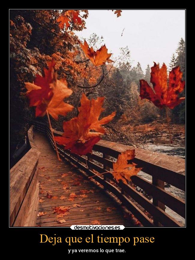 Deja que el tiempo pase - 
