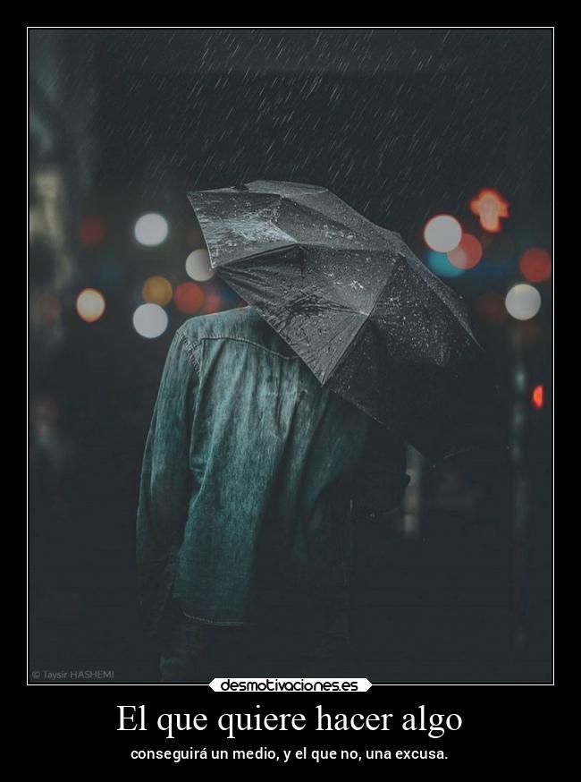 El que quiere hacer algo - conseguirá un medio, y el que no, una excusa.