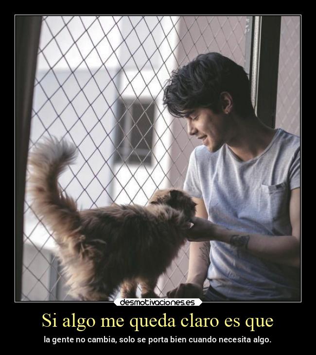 Si algo me queda claro es que - 