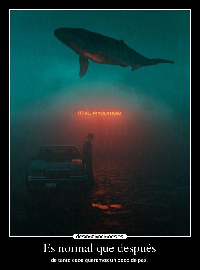 Es normal que después - de tanto caos queramos un poco de paz.