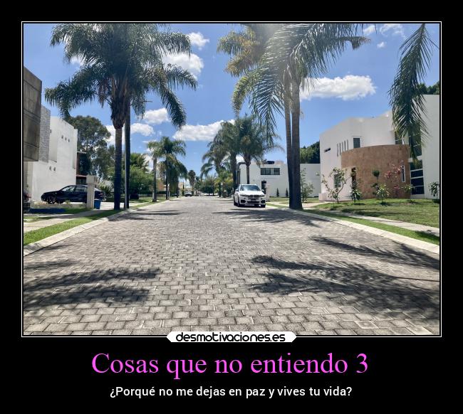 Cosas que no entiendo 3 - ¿Porqué no me dejas en paz y vives tu vida?