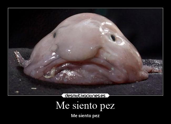 Me siento pez -