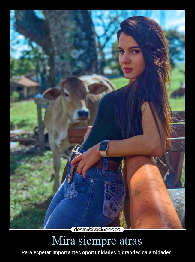 carteles esperanza mexico calamidades vaca mexico2022 desmotivaciones