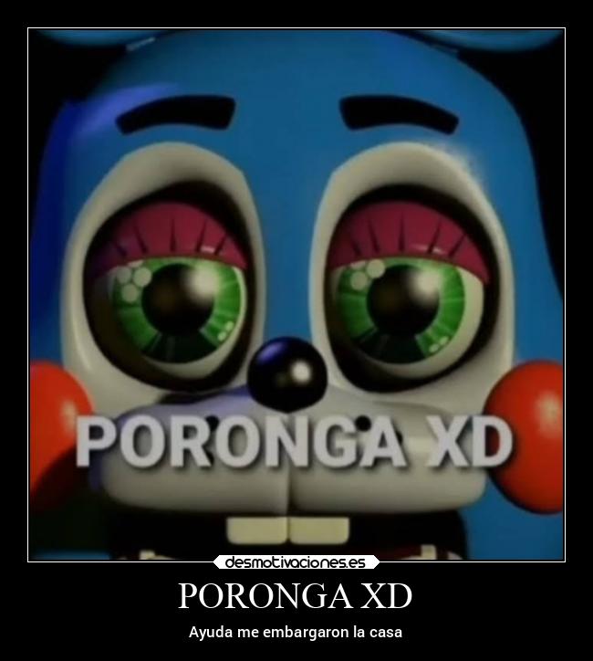 PORONGA XD - 