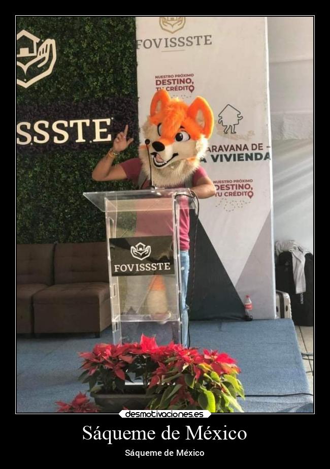 carteles mexico mexico abrazos desmotivaciones