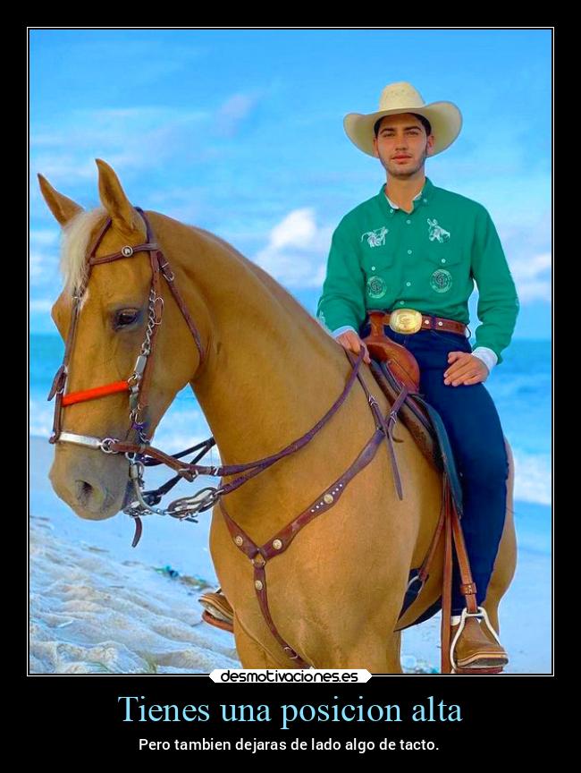 carteles mexico alta tacto caballo mexico2022 desmotivaciones