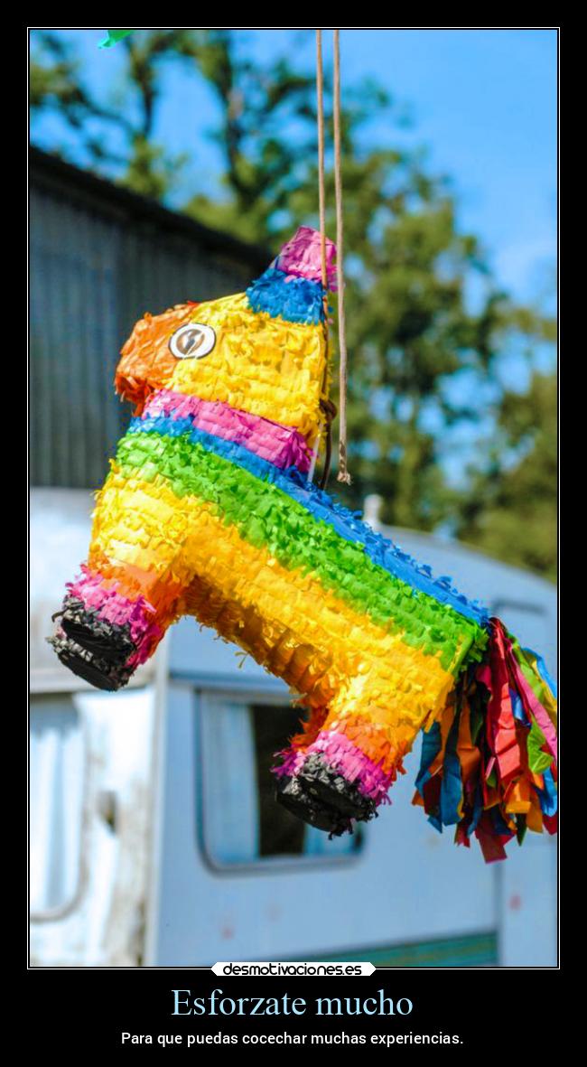 carteles mexico cocechar experiencias pinata mexico2022 desmotivaciones