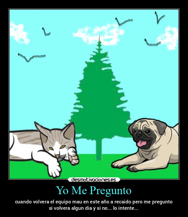 carteles mexico gatos equipo mau desmotivaciones